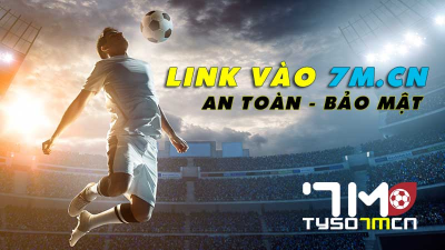 7msport.store Nền tảng đáng tin cậy cho mọi tin tức và thông tin bóng đá